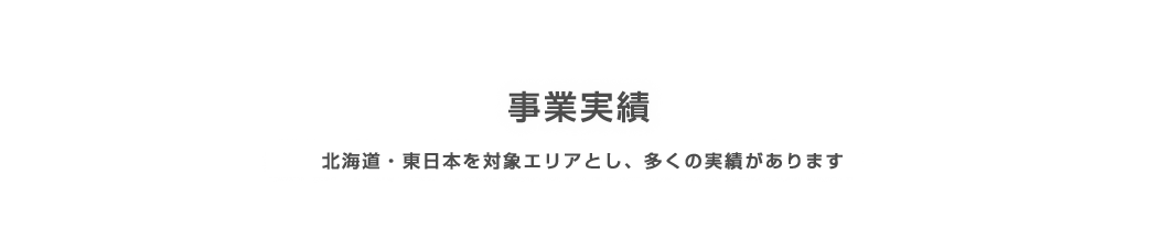 事業実績